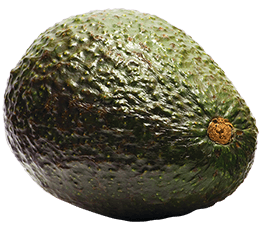 Best Fresh Tasting Avocado
